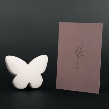 Troostbox - Gedenksteen medium | Vlinder | wit
