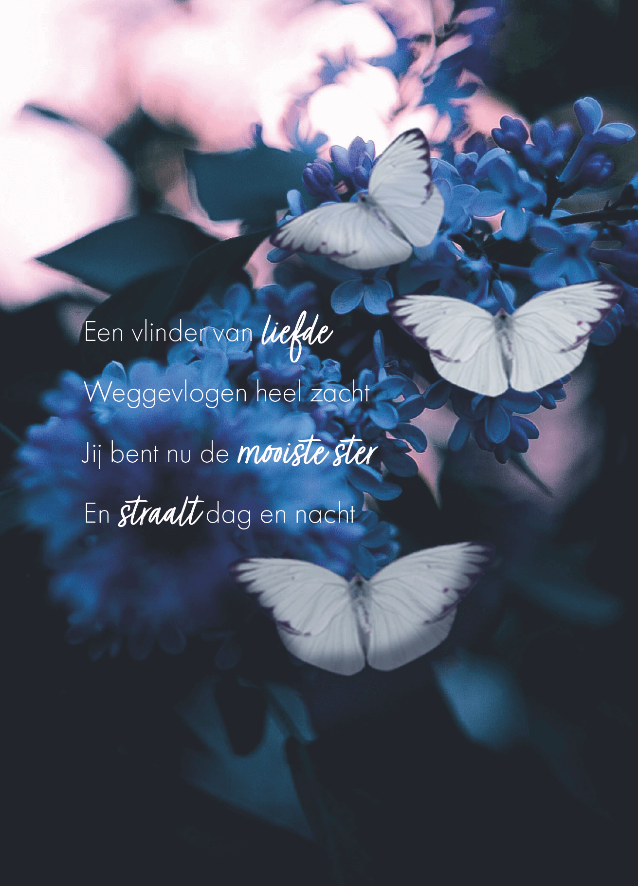 Troostbox – Herinneringsvaasjes