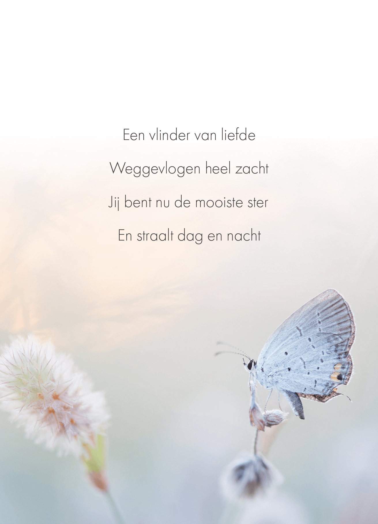 Troostbox – Herinneringsvaasjes